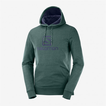 Sweat à Capuche Running SALOMON Homme Logo Hoodie M Vert Cèdre / Marine PE 2020