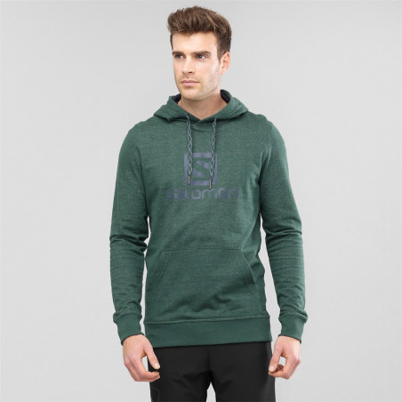 Sweat à Capuche Running SALOMON Homme Logo Hoodie M Vert Cèdre / Marine PE 2020
