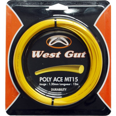 Cordage WEST GUT MT15 1.30mm (12 m)