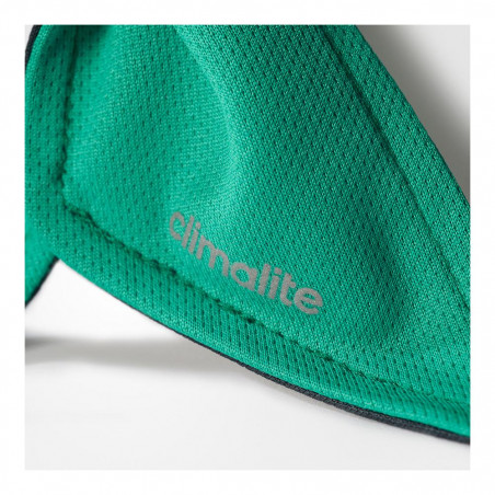 Bandeau ADIDAS Roland Garros Vert / Gris anthracite PE 2017