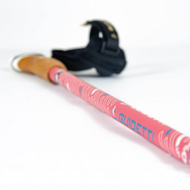 Bâtons de marche GUIDETTI VDF UT70 Steppe 2022