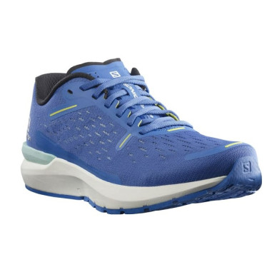 Chaussures Running SALOMON Homme SONIC 4...