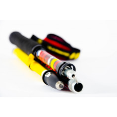 Bâton Trail GUIDETTI Platinium AERO PERF 2021 2