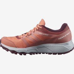 Chaussures Running SALOMON Femme TRAILSTER 2 GTX W Saumon... 2