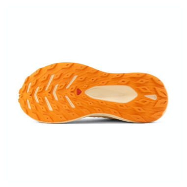 Chaussures Running SALOMON Femme GLIDE MAX TR...