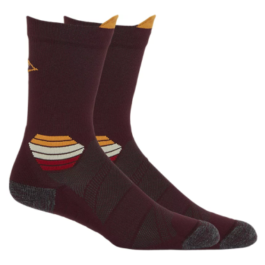 Chaussettes ASICS Longue FUJITRAIL Bordeaux 2023