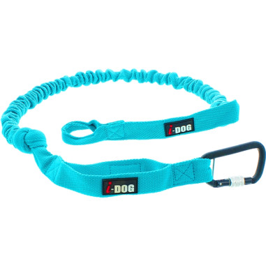 Accessoires Running RAIDLIGHT LONGE OPALE I-DOG...