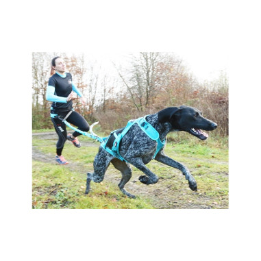 Accessoires Running RAIDLIGHT LONGE OPALE I-DOG...