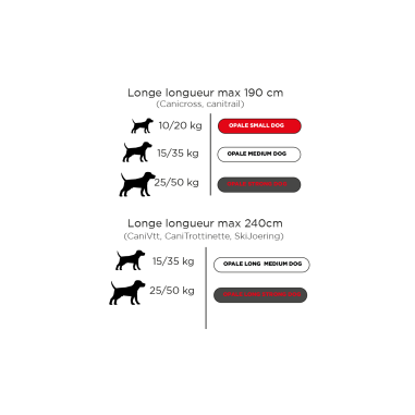 Accessoires Running RAIDLIGHT LONGE OPALE I-DOG...
