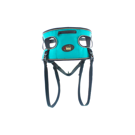 Accessoires Running RAIDLIGHT BAUDRIER IDOG Gamme ALM Bleu AH 2022