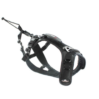 Accessoires Running RAIDLIGHT HARNAIS I-DOG...