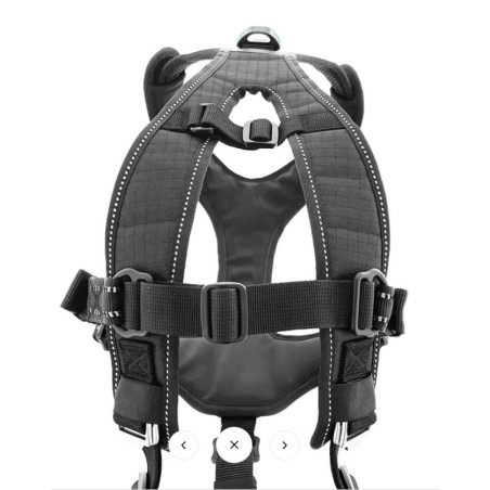 Accessoires Running RAIDLIGHT HARNAIS I-DOG RAIDLIGHT Noir AH 2022