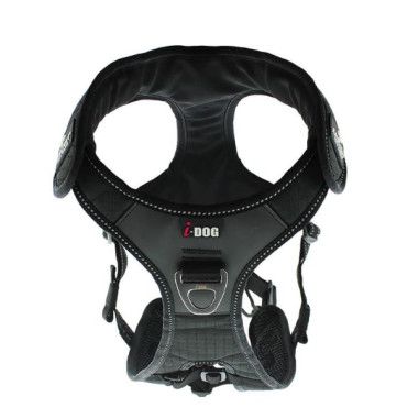 Accessoires Running RAIDLIGHT HARNAIS I-DOG...