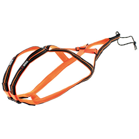 Accessoires Running RAIDLIGHT HARNAIS CANICROSS X-BAG ONE I-DOG Orange AH 2022
