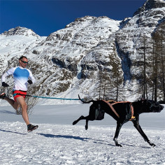 Accessoires Running RAIDLIGHT HARNAIS CANICROSS X-BAG ONE... 2