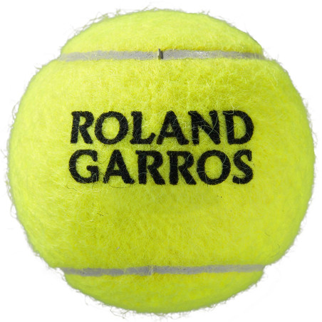 Bipack de 4 balles WILSON Roland Garros All Court 2024
