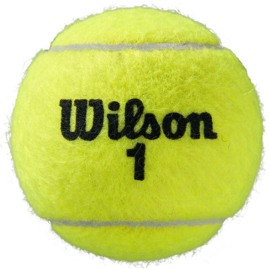 Bipack de 4 balles WILSON Roland Garros All...