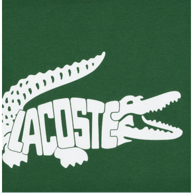 T-Shirt LACOSTE Homme SPORT ULTRA-DRY Vert /...