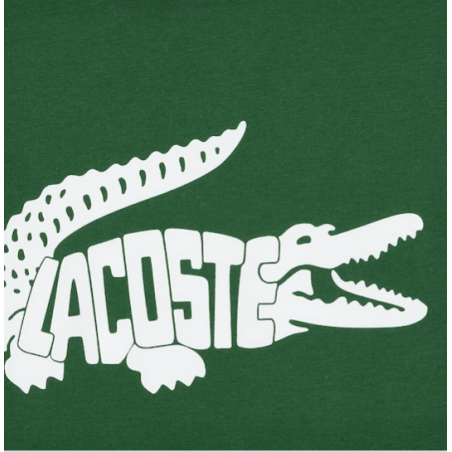T-Shirt LACOSTE Homme SPORT ULTRA-DRY Vert / Blanc PE 2024