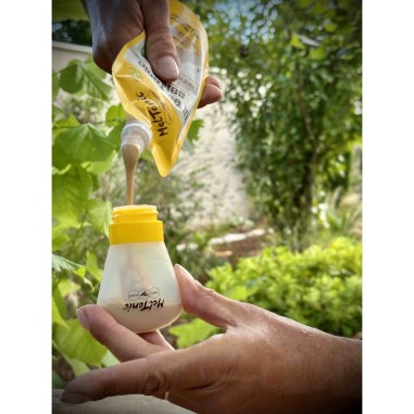 Purée TONIC SALEE MELTONIC Cajou / Miel / Fleur...