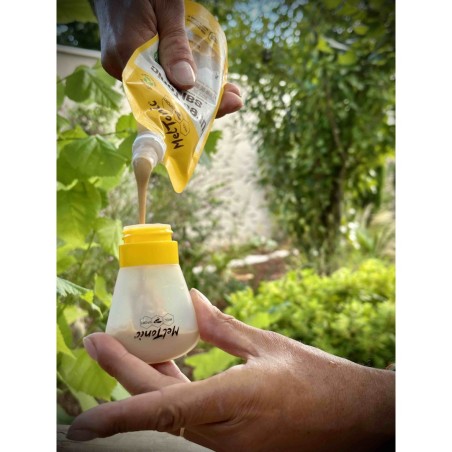 Purée MELTONIC TONIC SALEE Cajou / Miel / Fleur de Sel et Gelée 165 gr 2023 