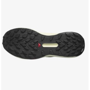 Chaussures Running SALOMON Homme GENESIS Noir /...