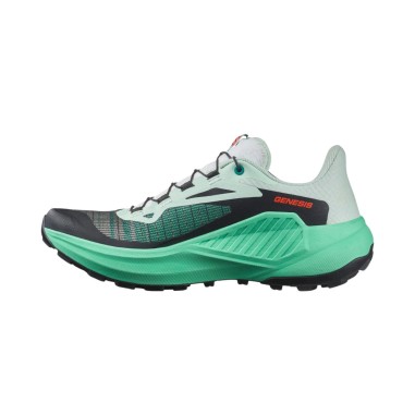 Chaussures Running SALOMON Femme GENESIS...