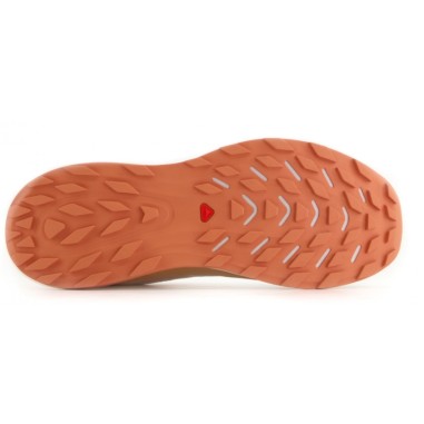 Chaussures Running SALOMON Femme ULTRA GLIDE...