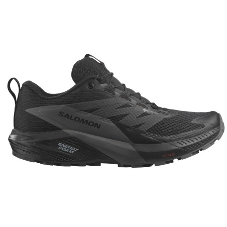 Chaussures Running SALOMON Femme SENSE RIDE 5 GTX Gris / Noir AH 2023
