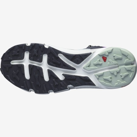 Chaussures Running SALOMON Homme PREDICT HIKE MID GTX Noir / Violet