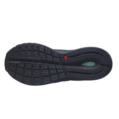 Chaussures Running SALOMON Mixte SONIC 4 GTX...