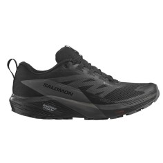 Chaussures Running SALOMON Homme SENSE RIDE 5 GTX Grise /...