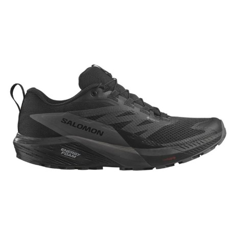 Chaussures Running SALOMON Homme SENSE RIDE 5 GTX Grise / Noire   AH 2023