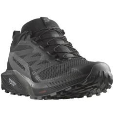 Chaussures Running SALOMON Homme SENSE RIDE 5 GTX Grise /... 2