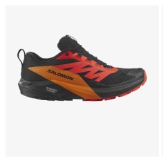 Chaussures Running SALOMON Homme SENSE RIDE 5 GTX Orange...