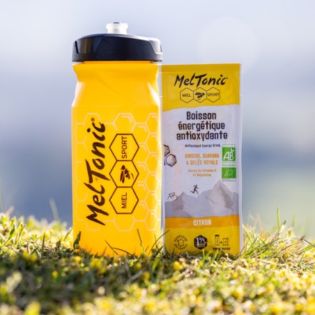 Boissons ENERGETIQUE ANTIOXYDANTE MELTONIC Citron /Ginseng 6 sticks 210gr 2023 