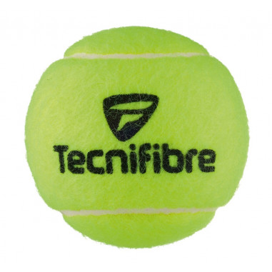 Tube de 4 balles TECNIFIBRE Club