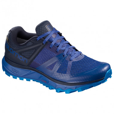Chaussures Running SALOMON Homme TRAILSTER GTX...