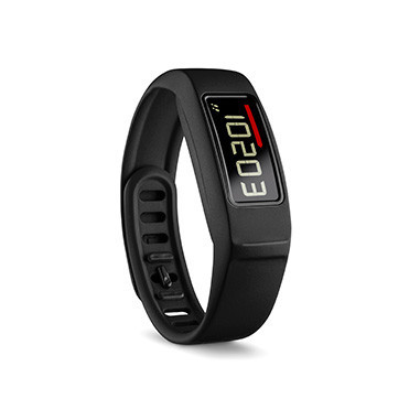 Montre GARMIN Vivofit 2 HRM Noir AH 2016
