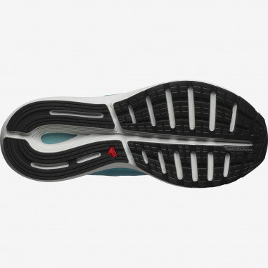 Chaussures Running SALOMON Femme SONIC 3...